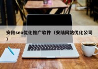 安陆seo优化推广软件（安陆网站优化公司）