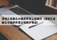 深圳三足鼎立小程序开发公司简介（深圳三足鼎立小程序开发公司简介电话）